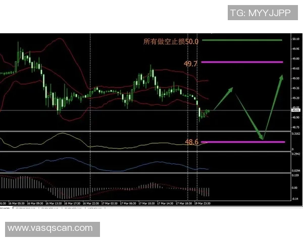 圣保罗与累体育精彩对决直播全程回顾与分析